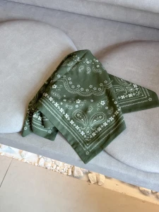 APASZKA paisley matcha 
