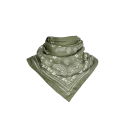 DSC_8846.png