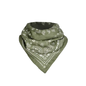 APASZKA paisley matcha 